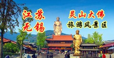 刘钰儿视频江苏无锡灵山大佛旅游风景区